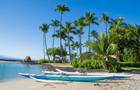 IMAGE-2024-SalesClub-big-island-1236x800